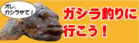 ガシラ釣りに行こう