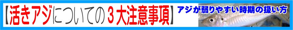 活きアジについての３大注意事項