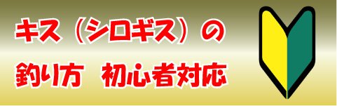 キス（シロギス）の釣り方　初心者対応