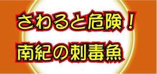 さわると危険！南紀の刺毒魚