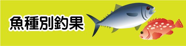 魚種別釣果