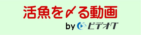 活魚を〆る動画”魚を美味しく食べるために”（ビデオグ）